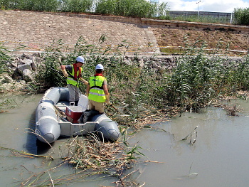 Tcnica de captura activa mediante pesca elctrica